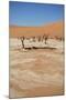 Dead Vlei at Namib Desert-Twentytwo-Mounted Photographic Print