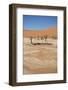 Dead Vlei at Namib Desert-Twentytwo-Framed Photographic Print