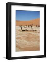 Dead Vlei at Namib Desert-Twentytwo-Framed Photographic Print