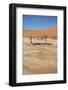 Dead Vlei at Namib Desert-Twentytwo-Framed Photographic Print