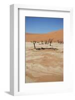 Dead Vlei at Namib Desert-Twentytwo-Framed Photographic Print