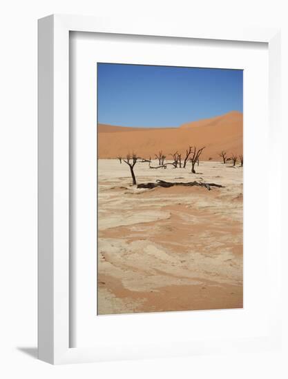 Dead Vlei at Namib Desert-Twentytwo-Framed Photographic Print