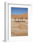 Dead Vlei at Namib Desert-Twentytwo-Framed Photographic Print