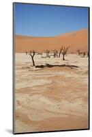 Dead Vlei at Namib Desert-Twentytwo-Mounted Photographic Print