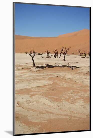 Dead Vlei at Namib Desert-Twentytwo-Mounted Photographic Print