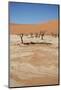 Dead Vlei at Namib Desert-Twentytwo-Mounted Photographic Print