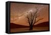 Dead Vlei, Dusk, the Namib-Naukluft National Park of Namibia-Felix Lipov-Framed Stretched Canvas