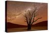 Dead Vlei, Dusk, the Namib-Naukluft National Park of Namibia-Felix Lipov-Stretched Canvas