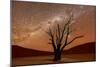 Dead Vlei, Dusk, the Namib-Naukluft National Park of Namibia-Felix Lipov-Mounted Photographic Print