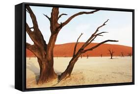 Dead Vlei in Namibia-Andrushko Galyna-Framed Stretched Canvas