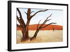 Dead Vlei in Namibia-Andrushko Galyna-Framed Photographic Print