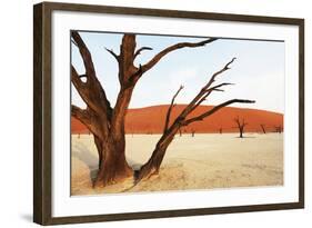 Dead Vlei in Namibia-Andrushko Galyna-Framed Photographic Print