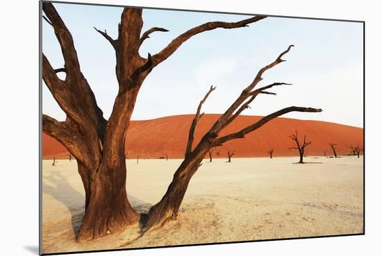 Dead Vlei in Namibia-Andrushko Galyna-Mounted Photographic Print