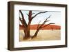 Dead Vlei in Namibia-Andrushko Galyna-Framed Photographic Print