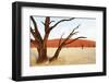 Dead Vlei in Namibia-Andrushko Galyna-Framed Photographic Print