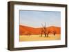 Dead Vlei in Namibia-Andrushko Galyna-Framed Photographic Print