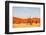 Dead Vlei in Namibia-Andrushko Galyna-Framed Photographic Print