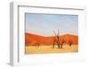 Dead Vlei in Namibia-Andrushko Galyna-Framed Photographic Print