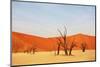 Dead Vlei in Namibia-Andrushko Galyna-Mounted Photographic Print