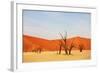 Dead Vlei in Namibia-Andrushko Galyna-Framed Photographic Print