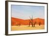 Dead Vlei in Namibia-Andrushko Galyna-Framed Photographic Print