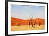 Dead Vlei in Namibia-Andrushko Galyna-Framed Photographic Print