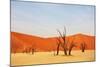 Dead Vlei in Namibia-Andrushko Galyna-Mounted Photographic Print