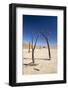 Dead Vlei, Namib Desert, Namibia, Africa-Ann and Steve Toon-Framed Photographic Print