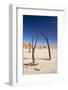 Dead Vlei, Namib Desert, Namibia, Africa-Ann and Steve Toon-Framed Photographic Print