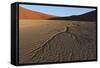 Dead Vlei Namib Desert Namibia-Nosnibor137-Framed Stretched Canvas