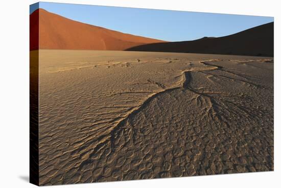 Dead Vlei Namib Desert Namibia-Nosnibor137-Stretched Canvas