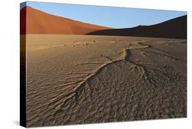 Dead Vlei Namib Desert Namibia-Nosnibor137-Stretched Canvas