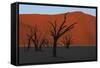 Dead Vlei Namib Desert Namibia-Nosnibor137-Framed Stretched Canvas