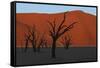 Dead Vlei Namib Desert Namibia-Nosnibor137-Framed Stretched Canvas