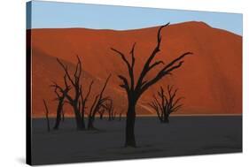 Dead Vlei Namib Desert Namibia-Nosnibor137-Stretched Canvas