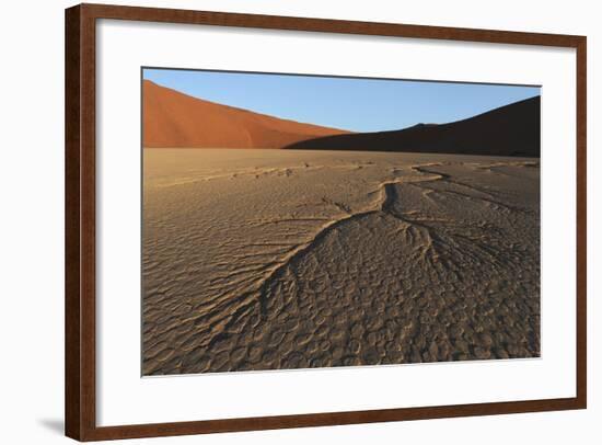 Dead Vlei Namib Desert Namibia-Nosnibor137-Framed Photographic Print