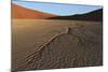 Dead Vlei Namib Desert Namibia-Nosnibor137-Mounted Photographic Print