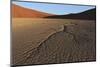 Dead Vlei Namib Desert Namibia-Nosnibor137-Mounted Photographic Print