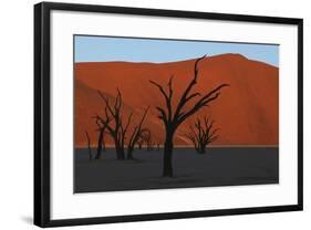 Dead Vlei Namib Desert Namibia-Nosnibor137-Framed Photographic Print