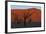 Dead Vlei Namib Desert Namibia-Nosnibor137-Framed Photographic Print