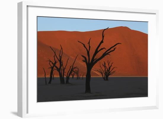 Dead Vlei Namib Desert Namibia-Nosnibor137-Framed Photographic Print