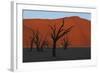 Dead Vlei Namib Desert Namibia-Nosnibor137-Framed Photographic Print