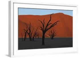 Dead Vlei Namib Desert Namibia-Nosnibor137-Framed Photographic Print