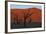 Dead Vlei Namib Desert Namibia-Nosnibor137-Framed Photographic Print