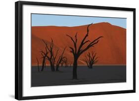 Dead Vlei Namib Desert Namibia-Nosnibor137-Framed Photographic Print