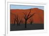 Dead Vlei Namib Desert Namibia-Nosnibor137-Framed Photographic Print