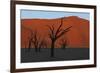 Dead Vlei Namib Desert Namibia-Nosnibor137-Framed Photographic Print