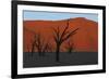 Dead Vlei Namib Desert Namibia-Nosnibor137-Framed Photographic Print