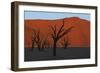 Dead Vlei Namib Desert Namibia-Nosnibor137-Framed Photographic Print