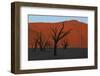 Dead Vlei Namib Desert Namibia-Nosnibor137-Framed Photographic Print